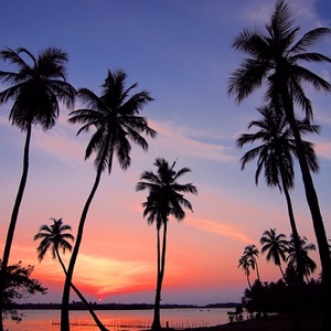 Sri Lanka Sunset